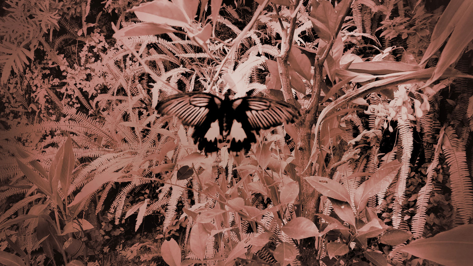 Marlene's Blooming Arts